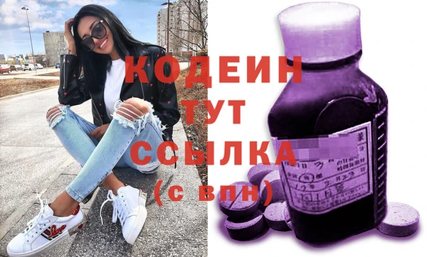 индика Беломорск