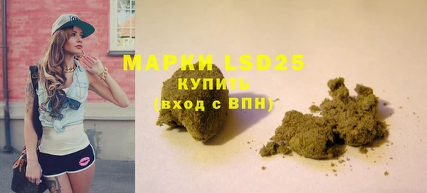 индика Белоозёрский