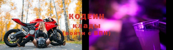 индика Беломорск