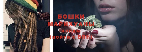 индика Беломорск
