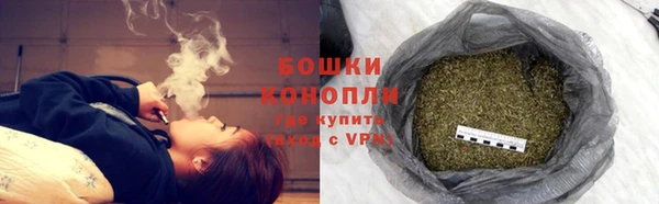 индика Беломорск