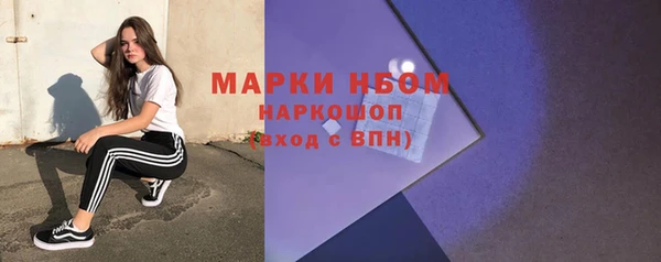 индика Беломорск