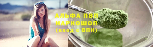 индика Беломорск