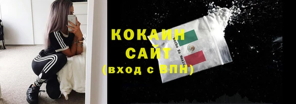 индика Белоозёрский