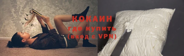 индика Беломорск