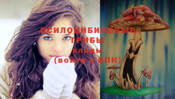 индика Беломорск