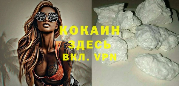 индика Беломорск