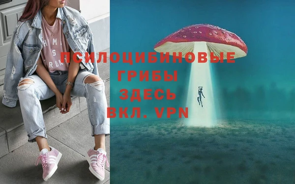 индика Белоозёрский