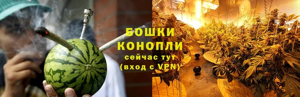 индика Беломорск